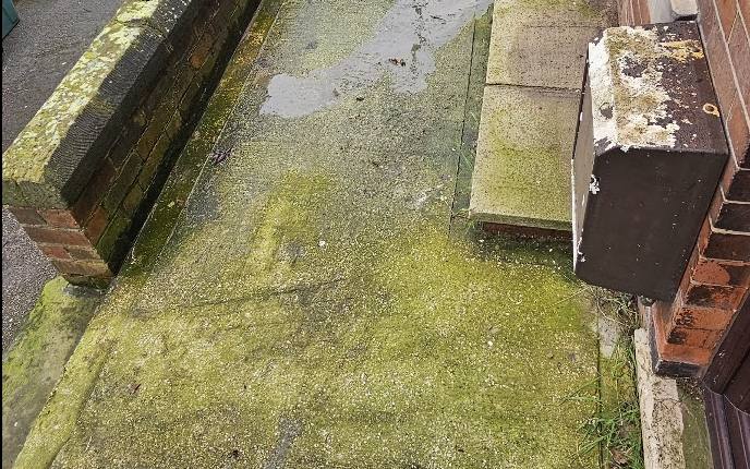 A small concrete patio covered in thick green algae before pressure washing