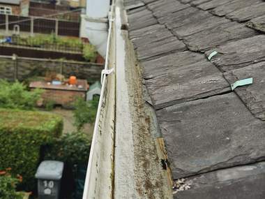 A gutter cleared out above a garden