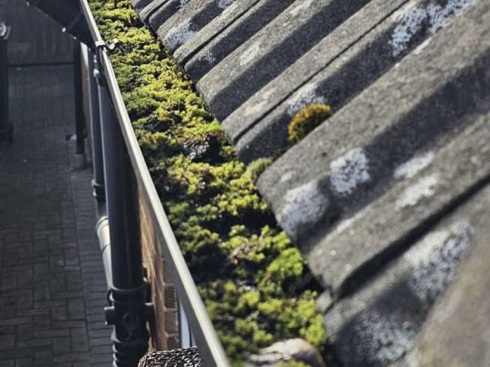 A gutter run packed solid with green moss along the roof edge
