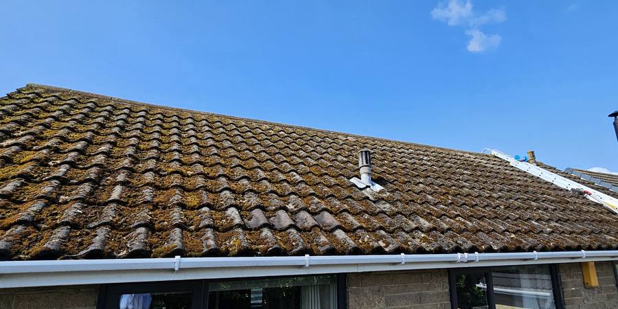 A pantile roof with moss growing thickly along every tile course