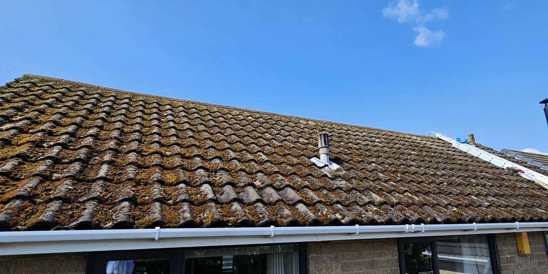 A pantile roof carrying heavy moss growth before cleaning